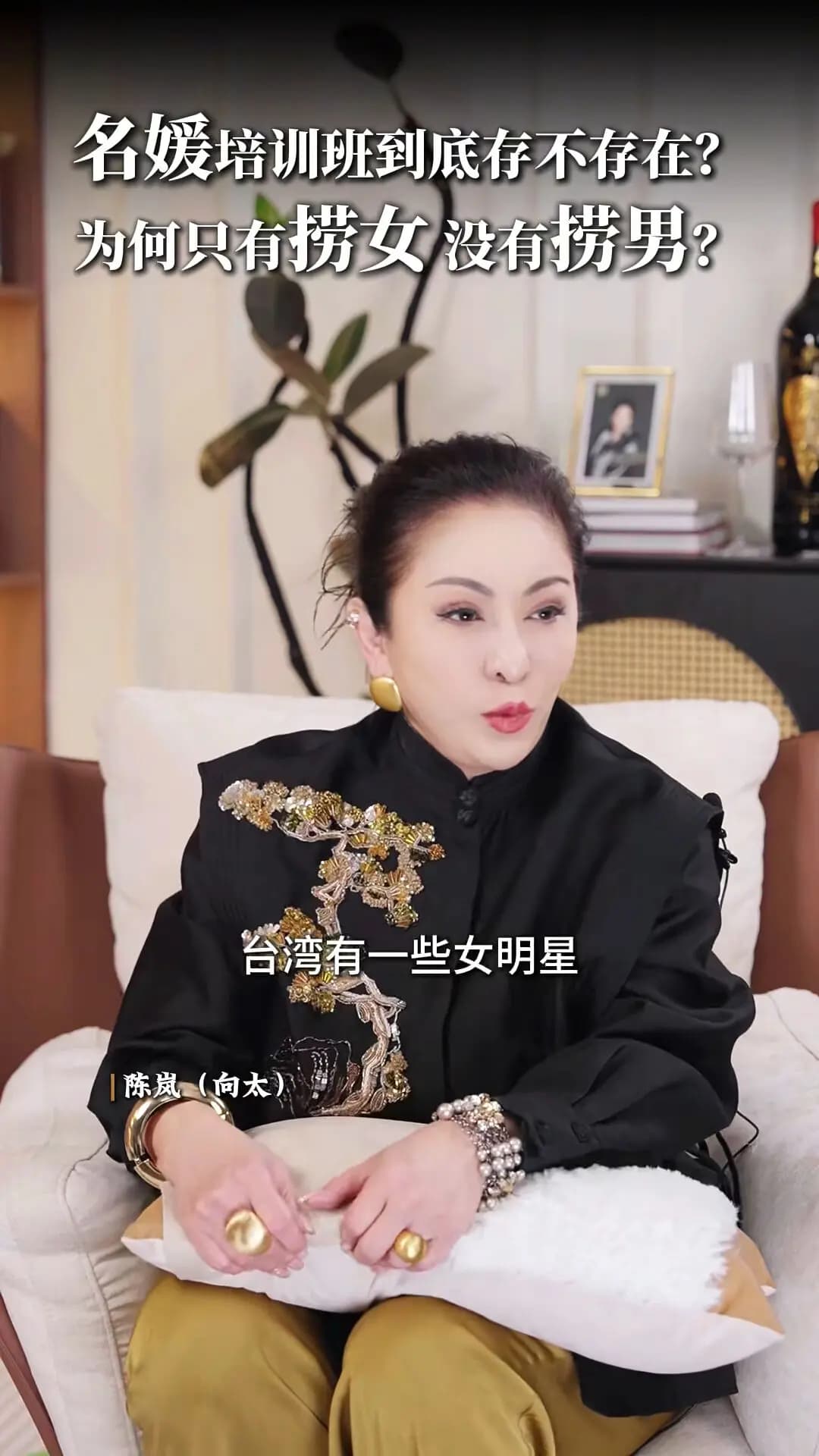 向太陈岚在视频中爆料台湾女星访港出糗的往事