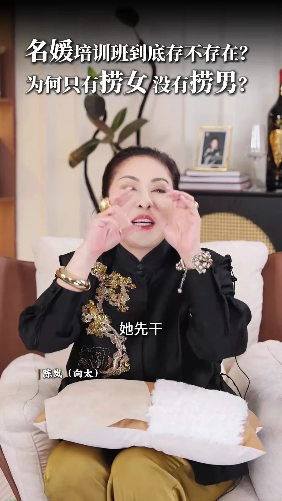 向太陈岚辟谣名媛培训班不存在的视频画面