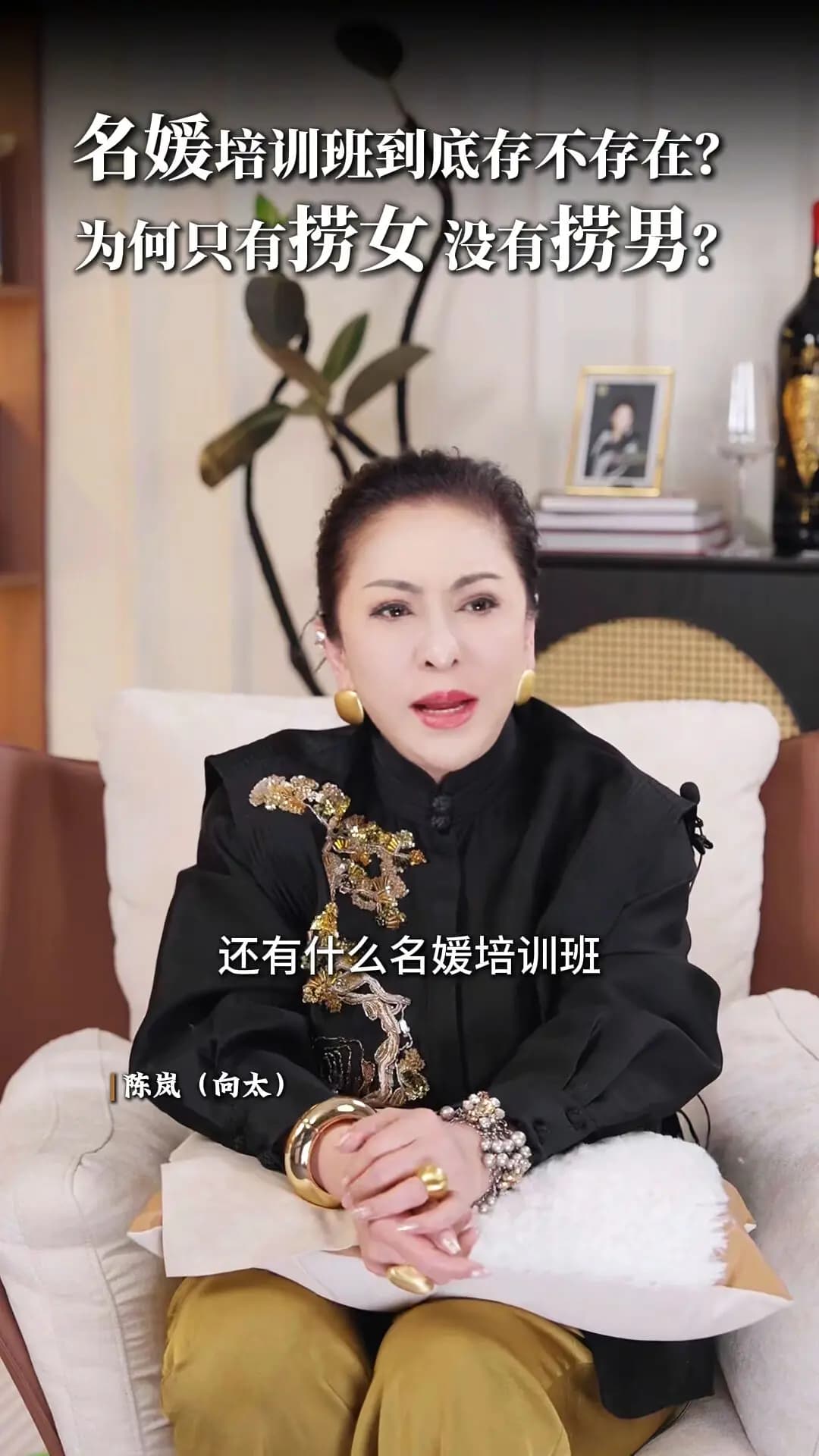 向太在视频中直言名媛培训班根本不存在